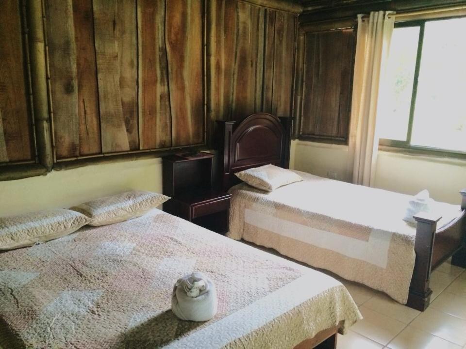 Albergue De Montana Talari San Isidro De El General Room photo